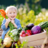 Kleine Helden im Bauch: das kindliche Mikrobiom verstehen
